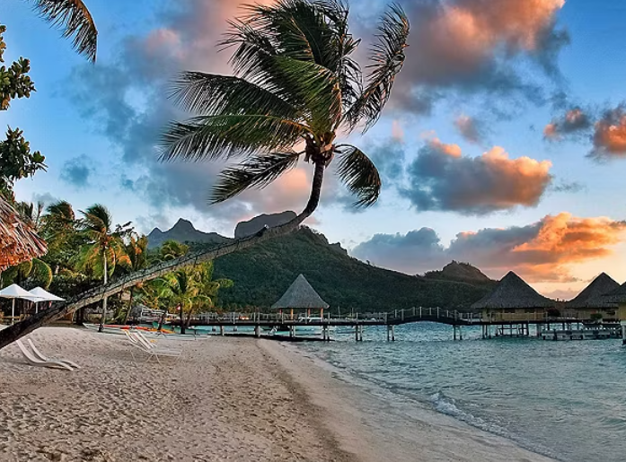 Celebrity – Australia, New Zealand & The Pacific Islands