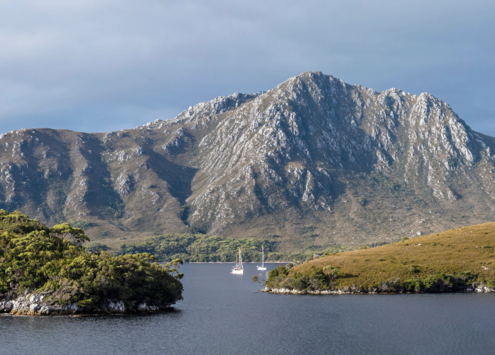 Coral Expeditions: Tasmania