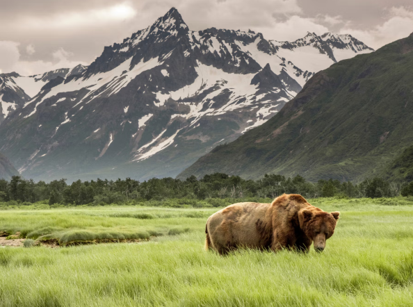 Silversea - Alaska