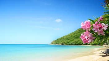 Regent Seven Seas - The Americas