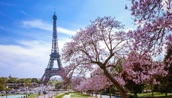 AmaWaterways - Rivers of France