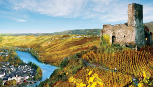 AmaWaterways - Rhine and Moselle Rivers