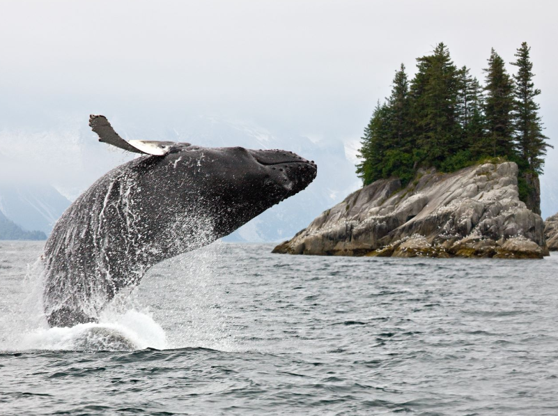 Azamara - Alaska
