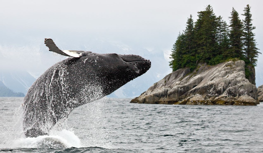 Azamara - Alaska
