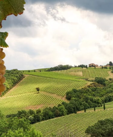 Botanica - Renaissance Gardens of Italy by Canal Boat & Tuscan Landscapes